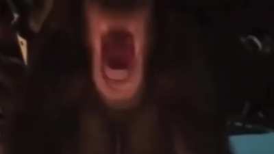 Monke: Infinite