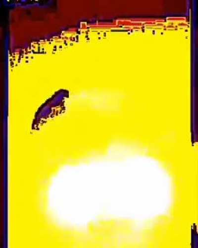 God of all virgins