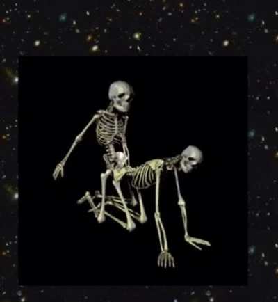 U need some Calcium? (sound on)