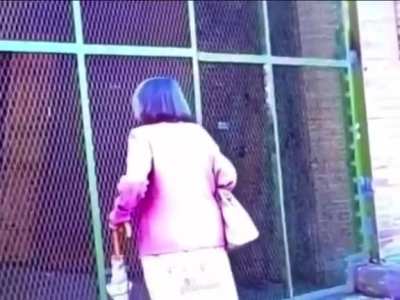 What Fence?
