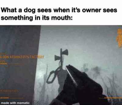 me_irl
