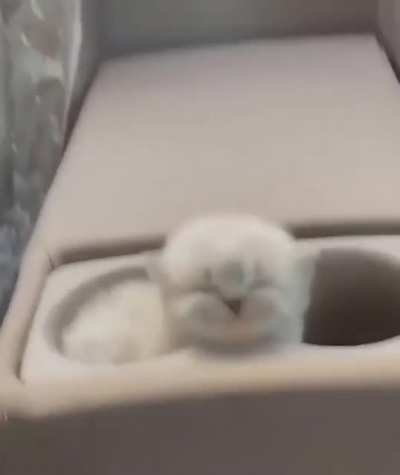 Cozy Cup Holder