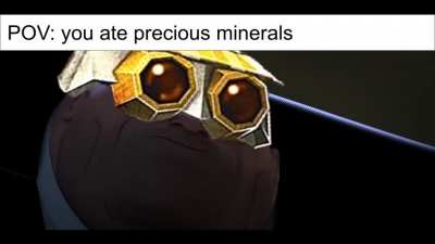 It's their fault after all
