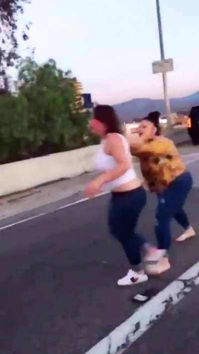 A Latino family and a racist family have an epic showdown.