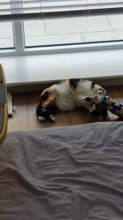 Caught in the act