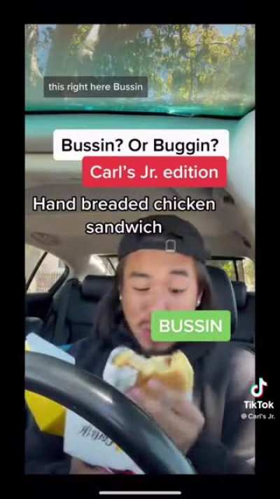 carl’s junior ad - tiktok
