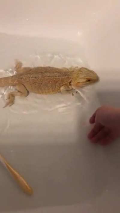 She do be swimming