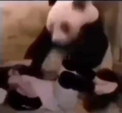 Bamboozled