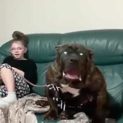 This little girl with her dog