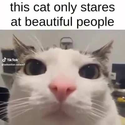 Yall are epic
