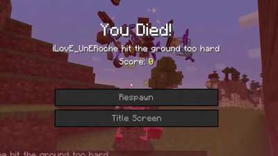 Since I had lost my elytra my friend had this brilliant idea to try to fly with a pig