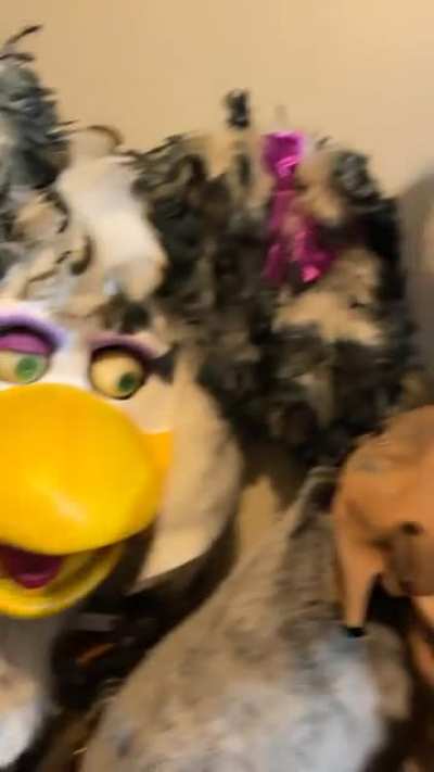 Old animatronics