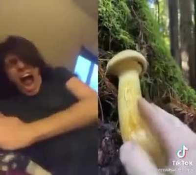 That gotta hurt