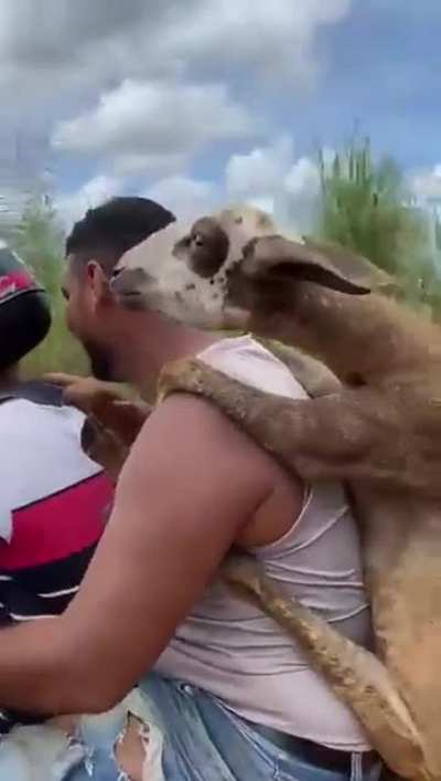 Meanwhile in Brazil