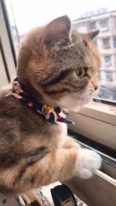 Видимо что-то случи<wbr>лось.<wbr>..