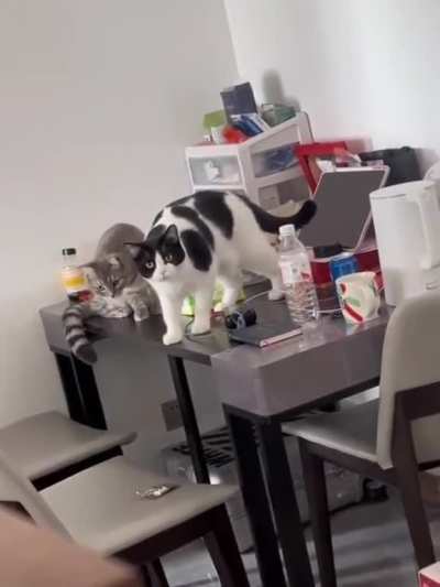 maybe maybe maybe