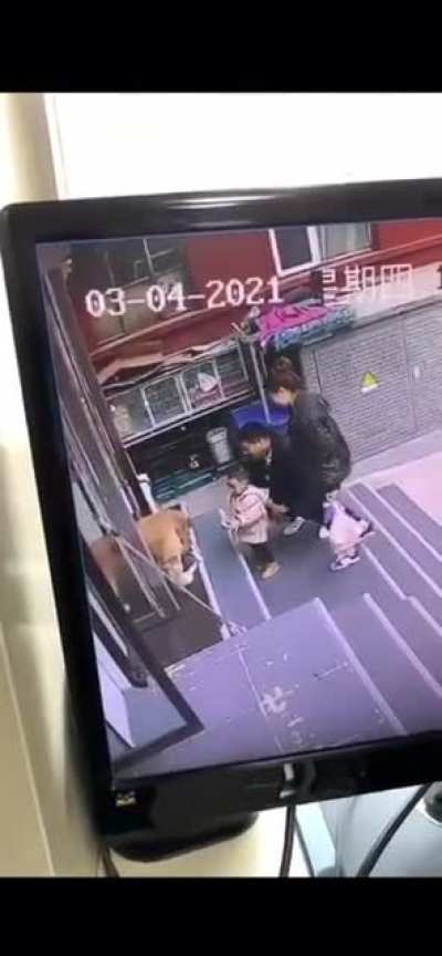 Барсик с незнакомцами не разговаривает