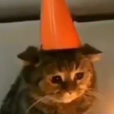 I put on a happy face, and this is how I feel. It feels like the end of the world. I’m so lonely…
