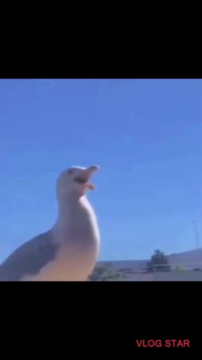 Title