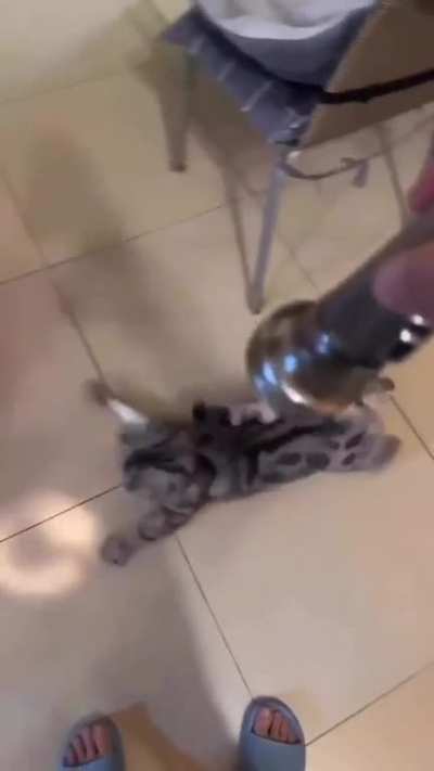 Wiggle wiggle