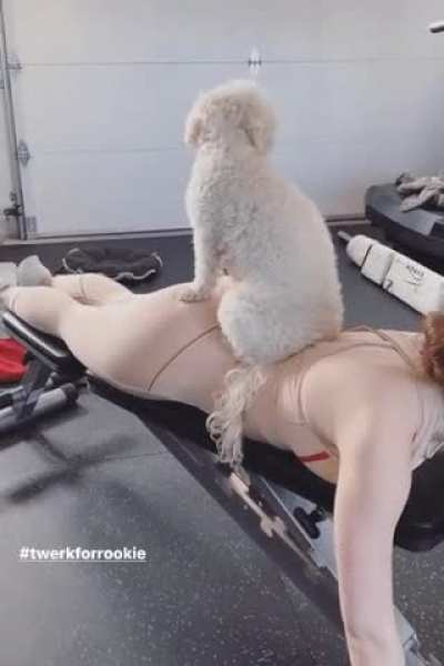 What an Incredible Ass
