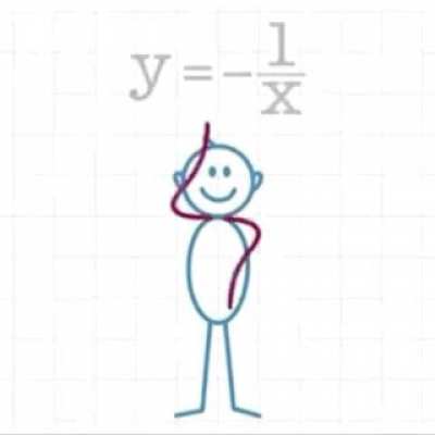 The behavior of all the graphs
