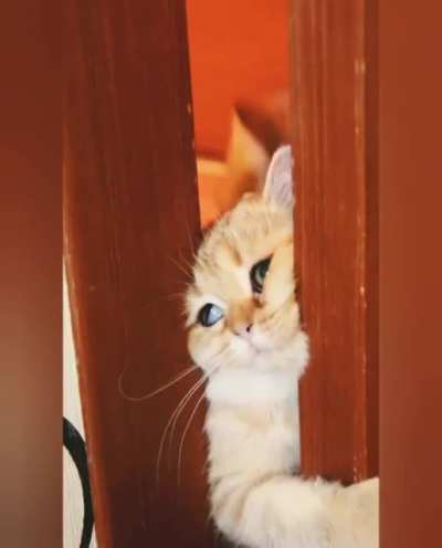 Let us in!