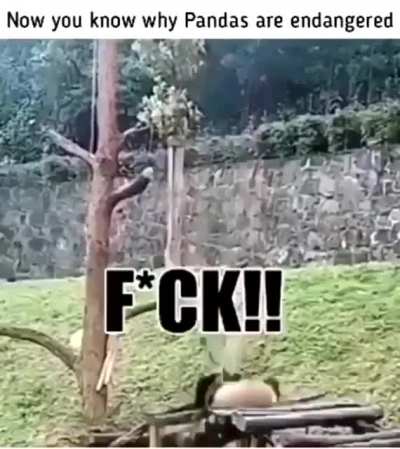 Now we know