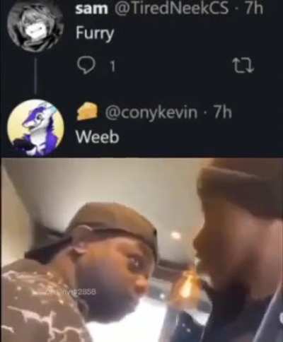 who wins