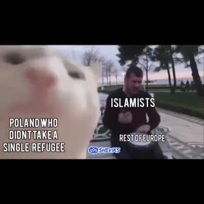 Poland version