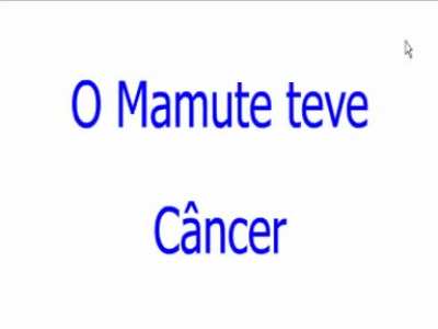A história de um Mamute