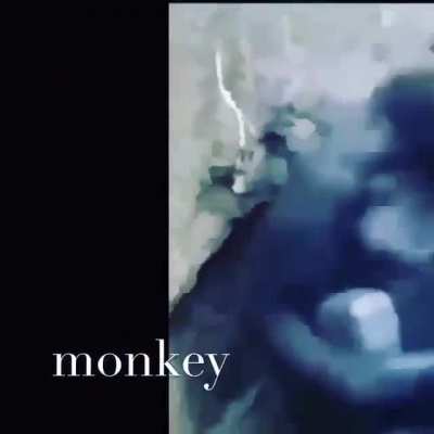 diddy kong mains