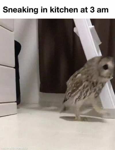 Me_irl