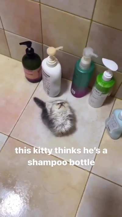 wunky shampoo
