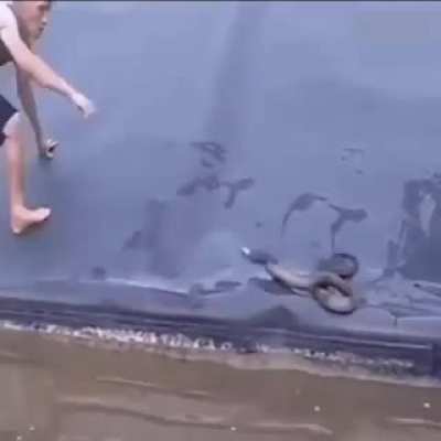 Curse video.MP4