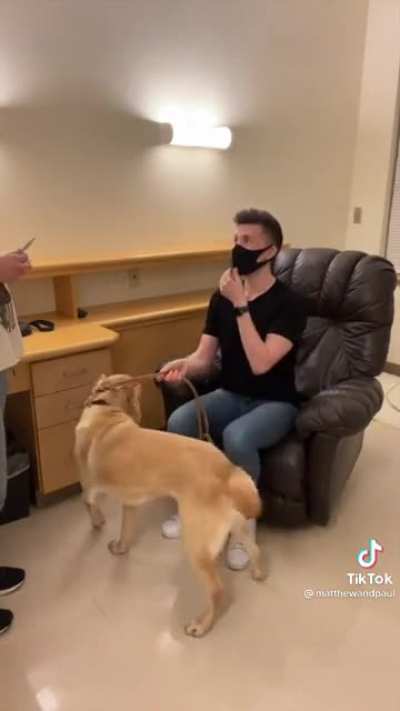 Man with genetic eye disease meets his new guide dog Maple