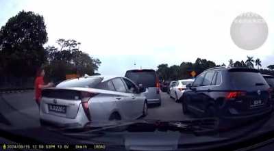 Sanest Singapornean driver