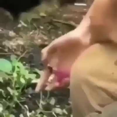 Bruh