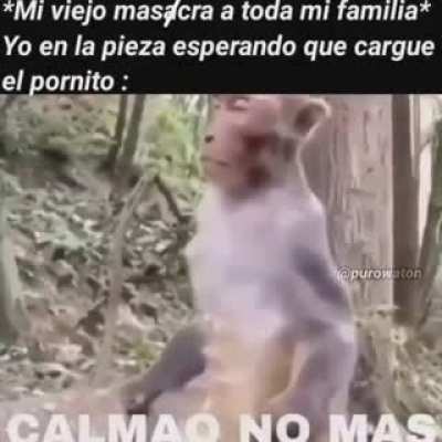CALMAO
