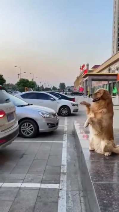 What a good boy