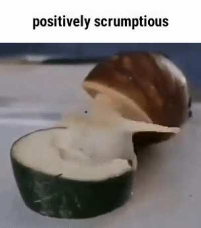 Rule