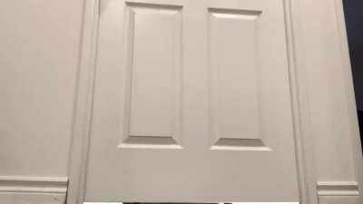 wyd