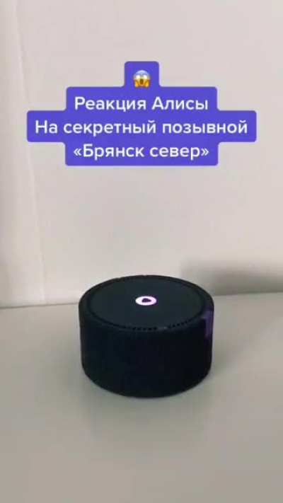 Алиса и Брянс<wbr>к-сев<wbr>ер.
