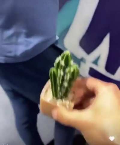 Something in your pocket