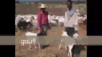 ቆንጆ ኢትዮጵያ የተንሸራታች ትዕይንት ትምህርት አስደሳች ትምህርት ይማራሉ ethiopia ምርጥ የአፍሪካ ሀገር download ፍርይ