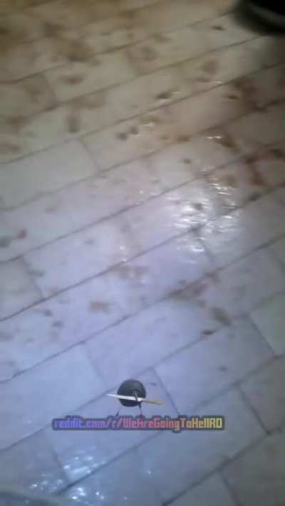 A facut treaba Flocea