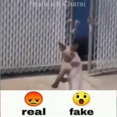 😡😡😡