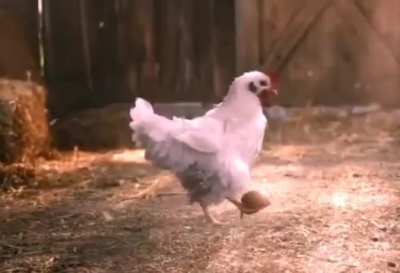 Based chicken 