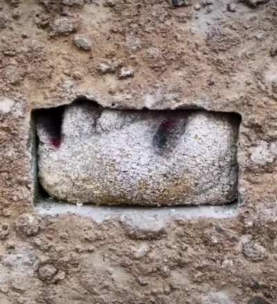 🗿
