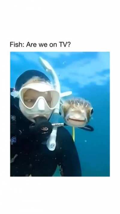 awwwww